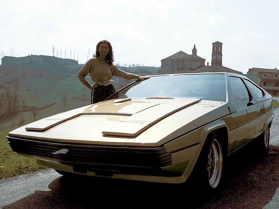  Jaguar Ascot Concept 1977 года  (фото 11 из 16)